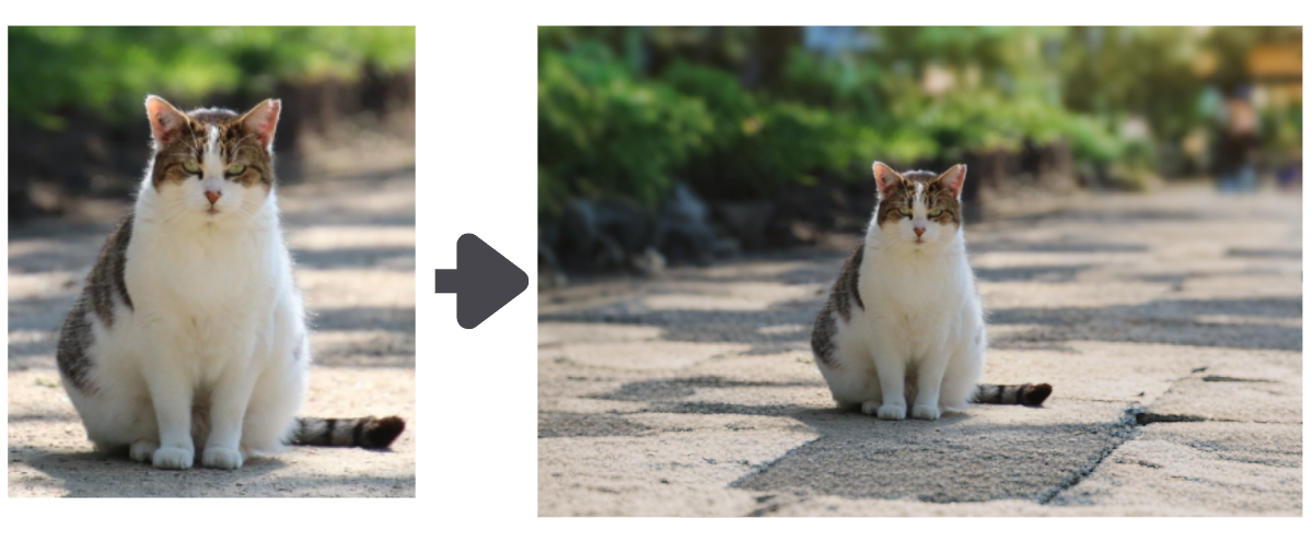 AI Expand