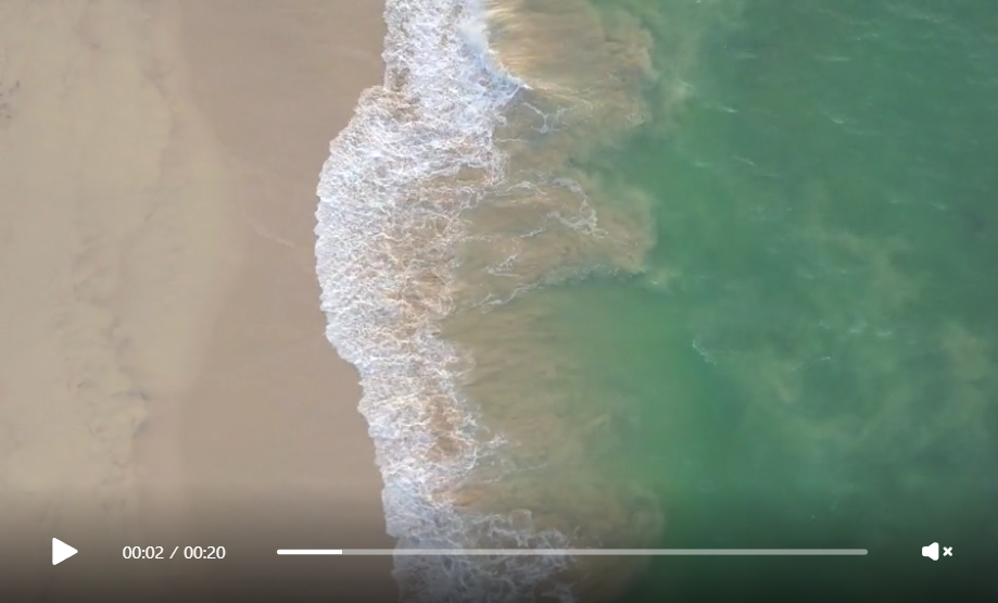 Videoclipuri cu plaje/ocean