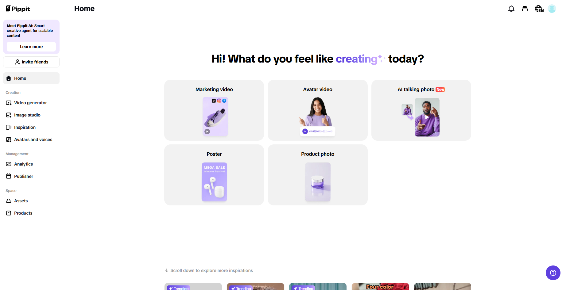 Pippit interface