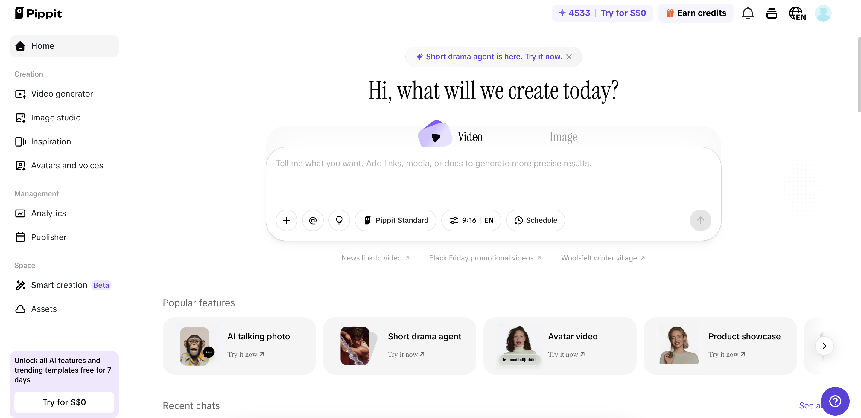 Pippit interface