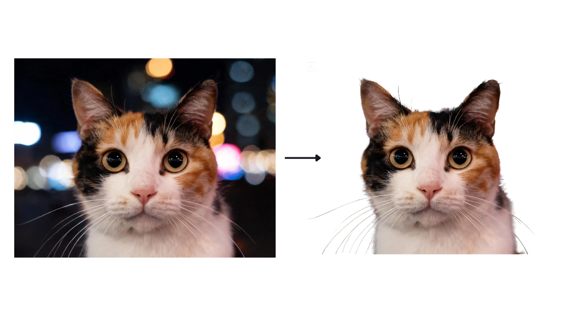 Remove background feature in Dreamina