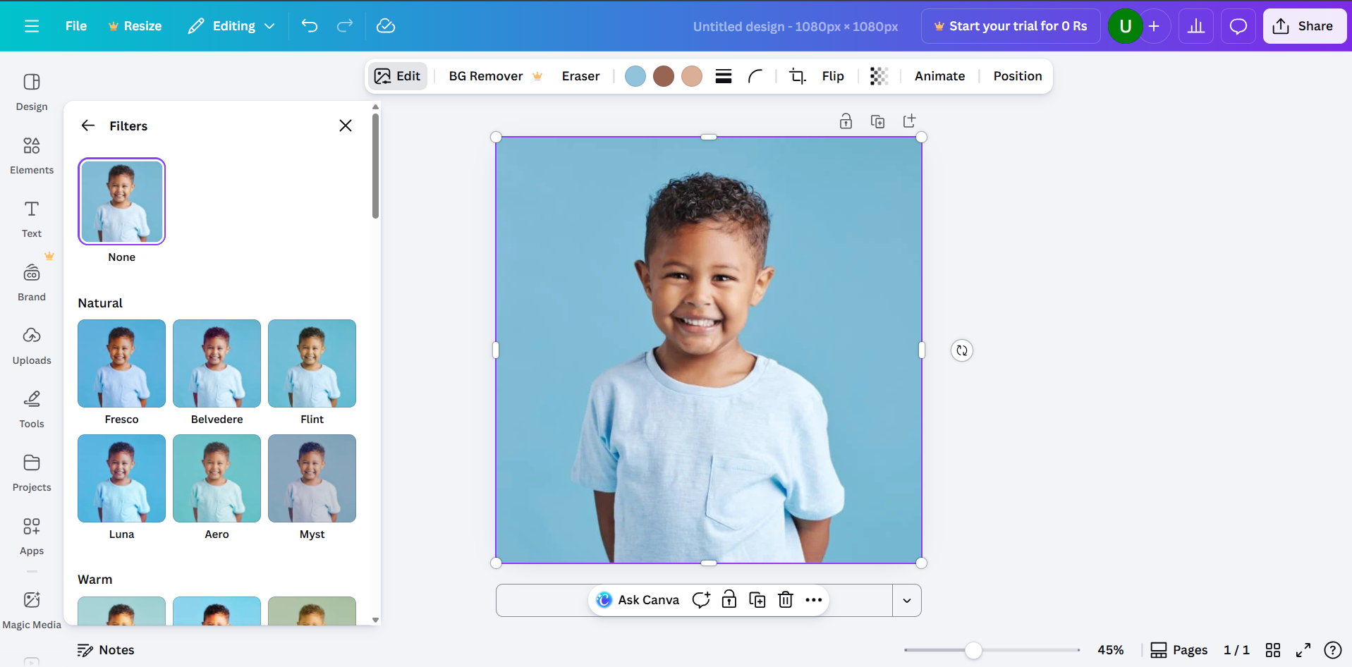 Canva interface