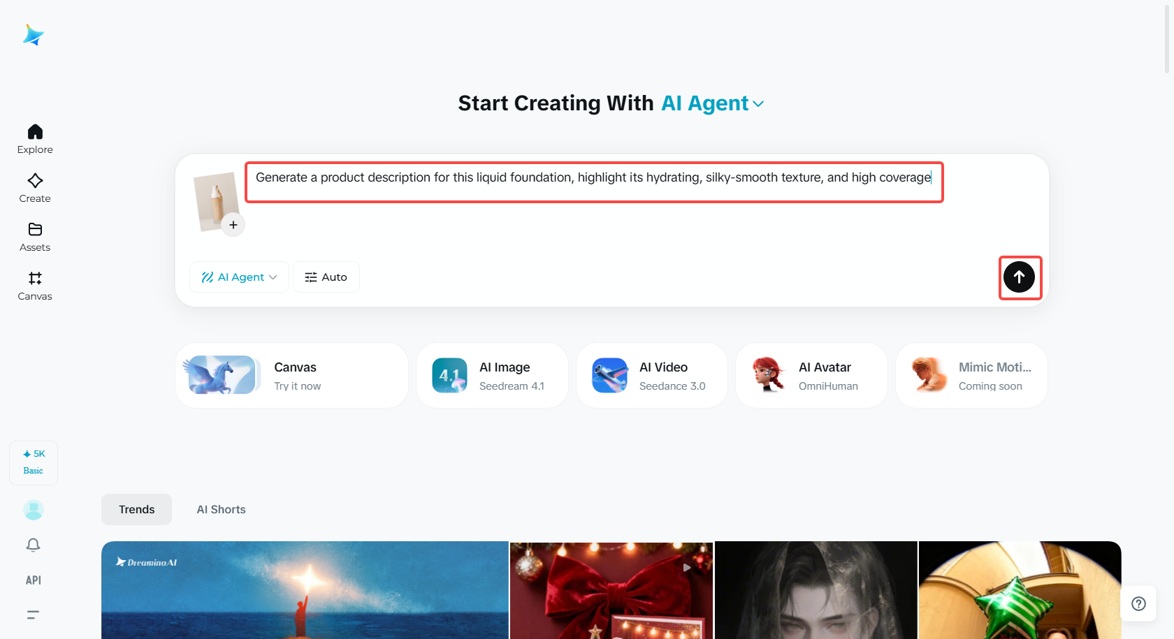 Enter the text prompt and generate