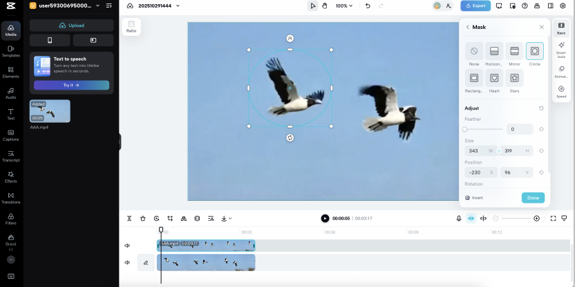 Circular mask positioned directly over one flying bird inside the CapCut web editor