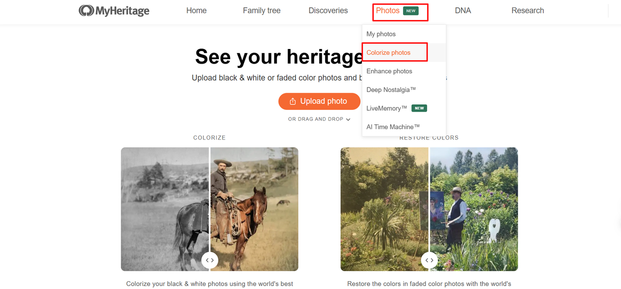 coût de l'améliorateur de photos MyHeritage