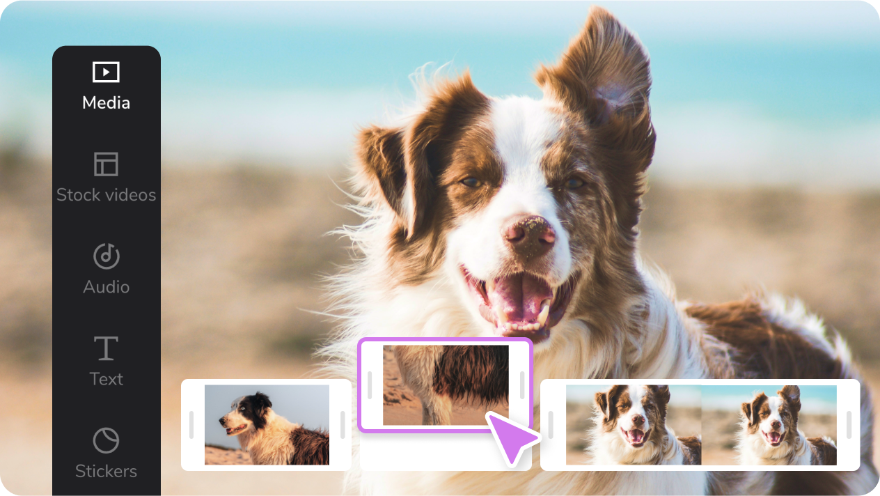 Trim, Arrange, and Perfect Your Clips with Ease