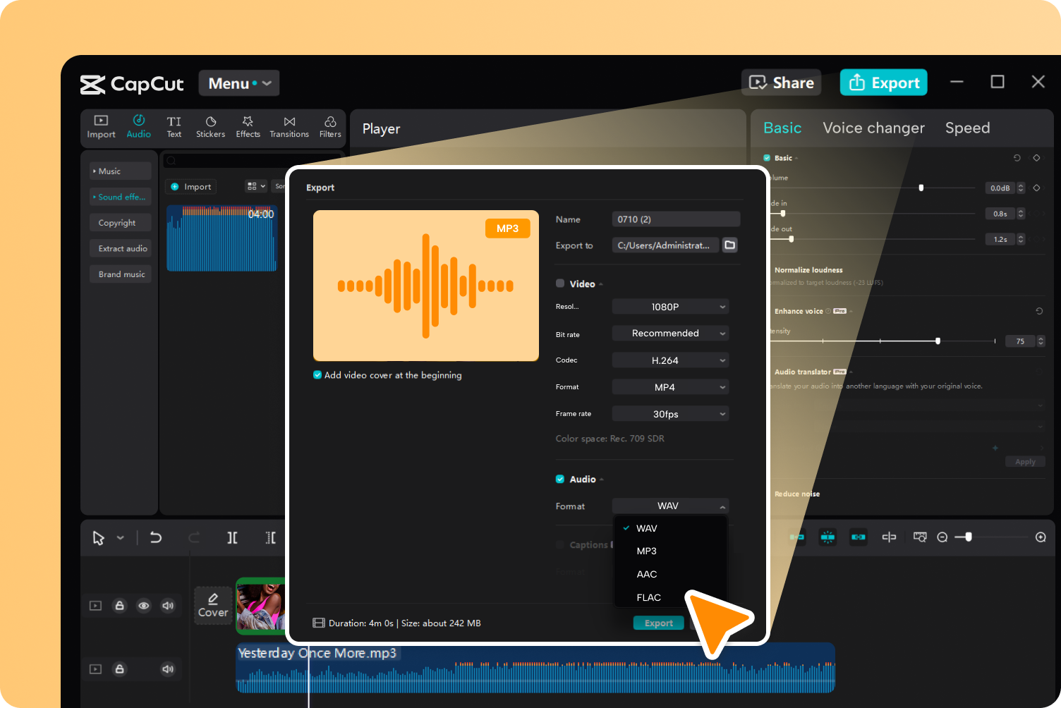 Convert and download audio