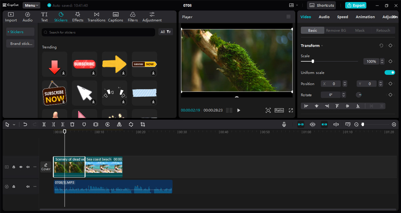 CapCut desktop editor with sticker choices beside a forest video and its timeline
