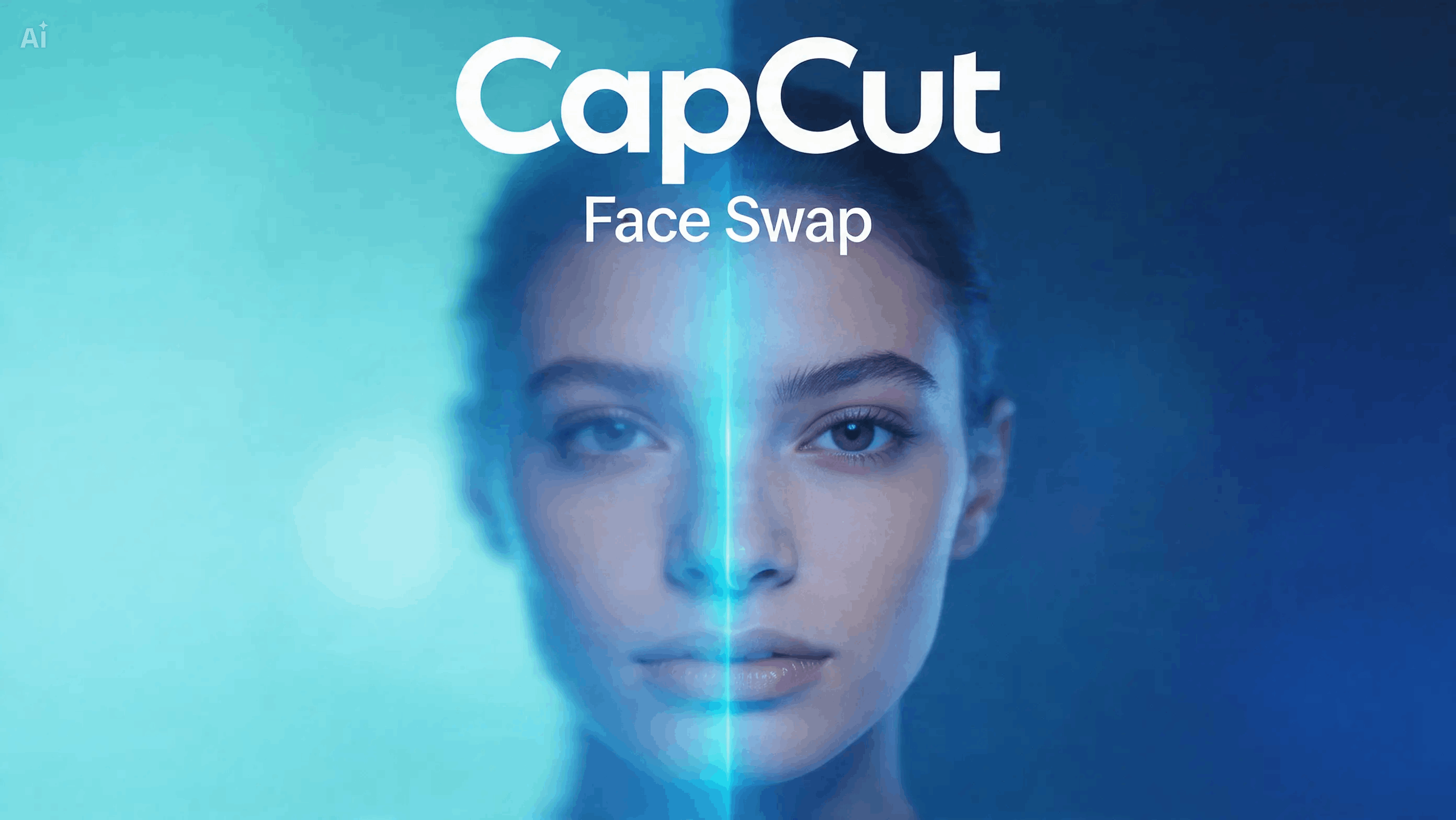 Video Face Swap