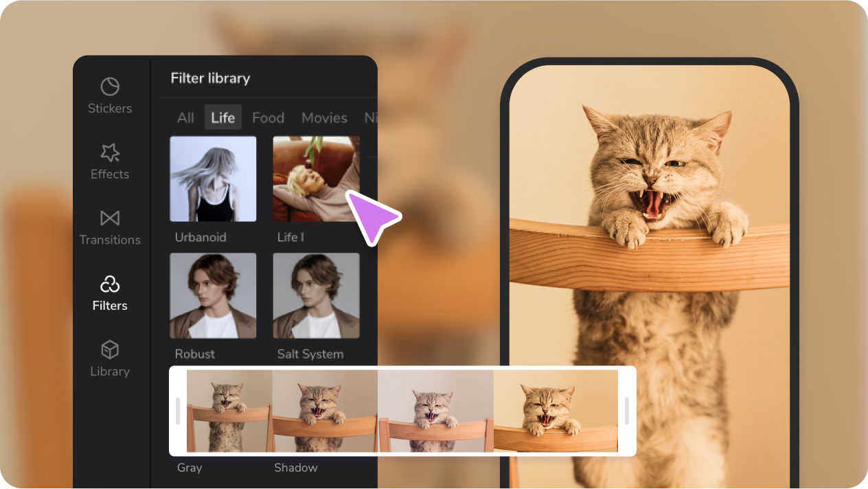 Apply Color Corrections and Filters for a Charming Look