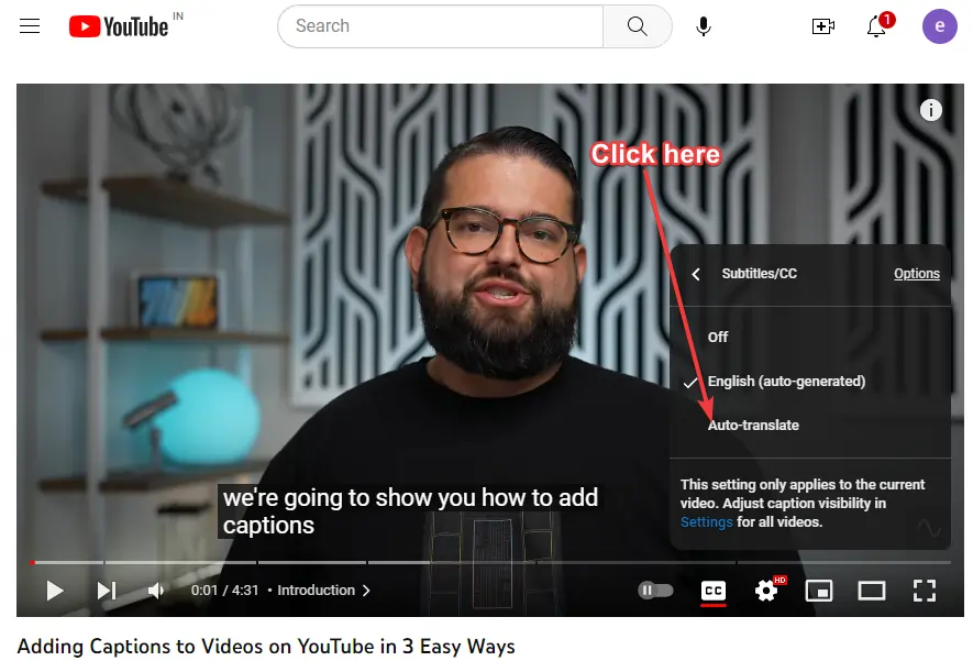 YouTubers and vloggers
