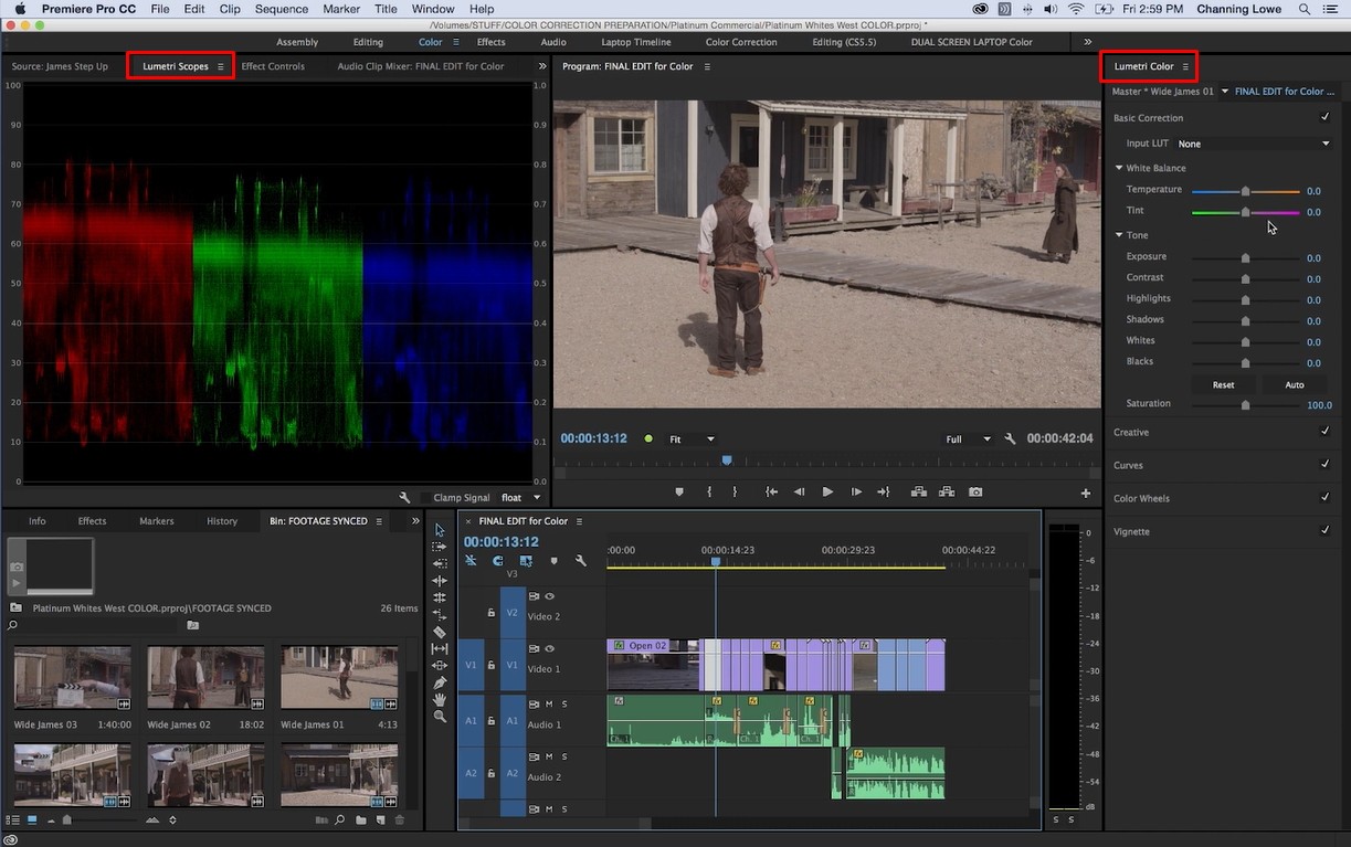 Master Color Correction in Premiere Pro | Custom Color Effects