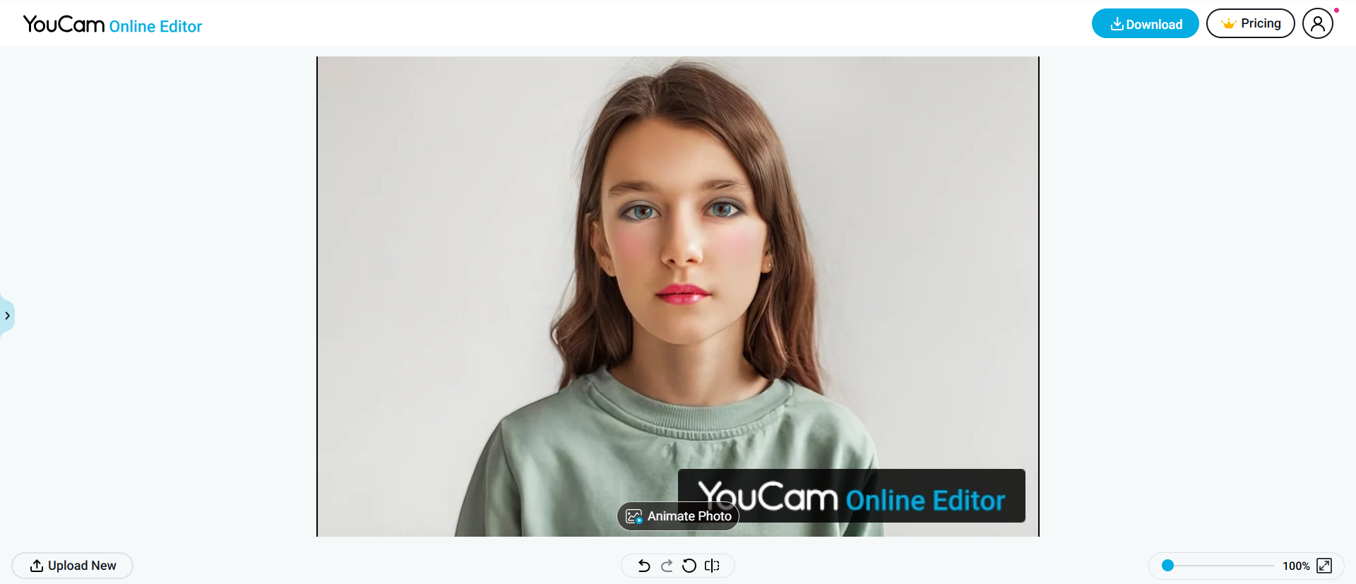 YouCam Online Gesichtsfoto-Editor