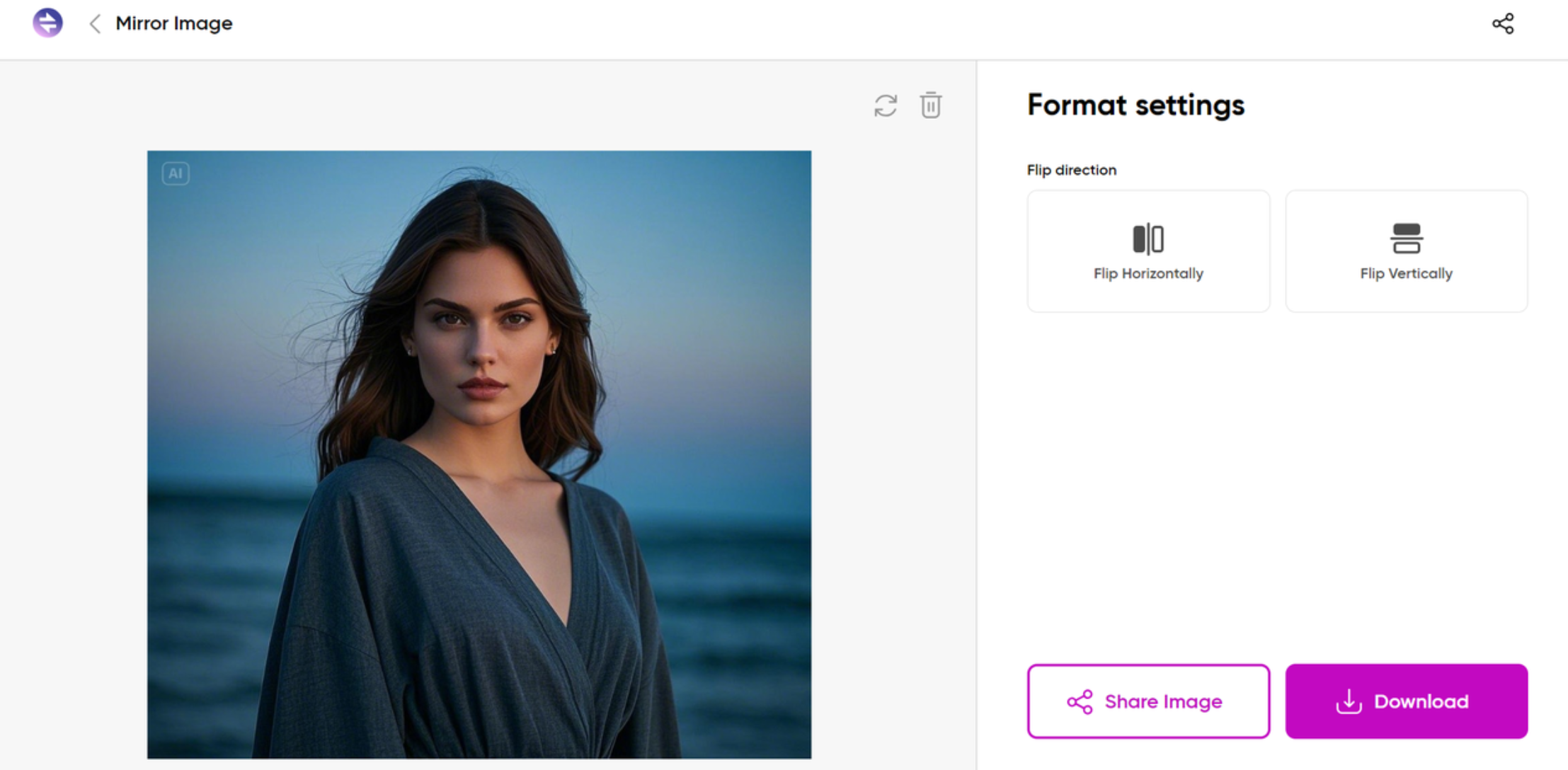 Flip your image with Quicktool