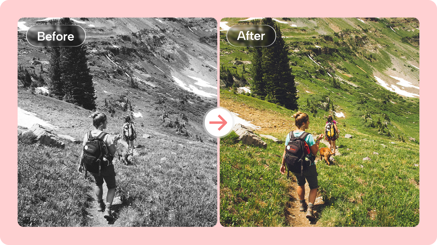 Black and White Photo into Color