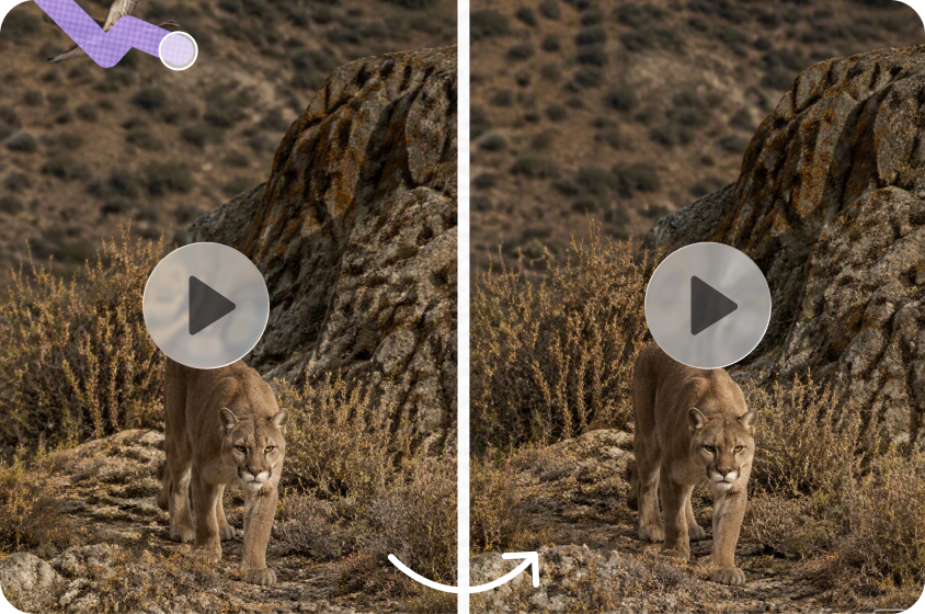 Migliora i flussi di lavoro di editing di video documentari