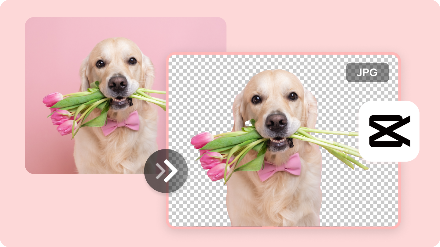 image cutout tool