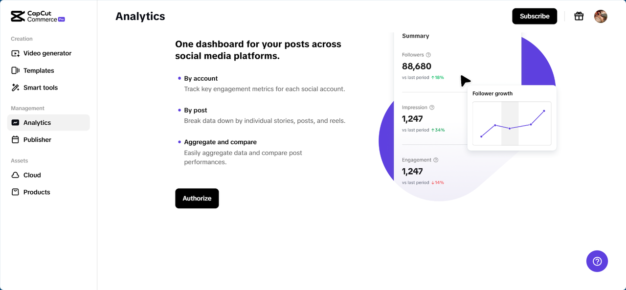 Pippit analytics