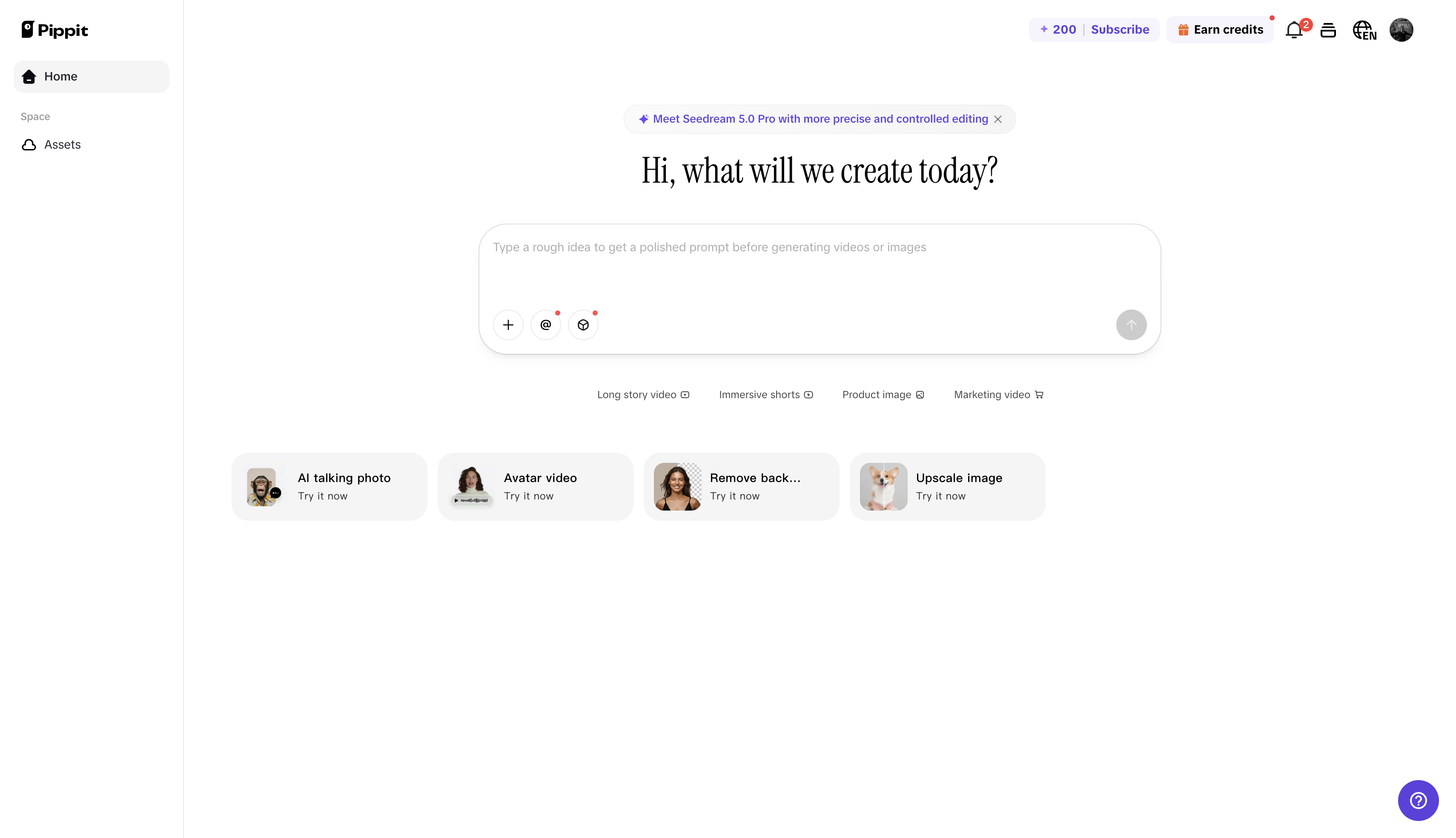 Pippit's interface