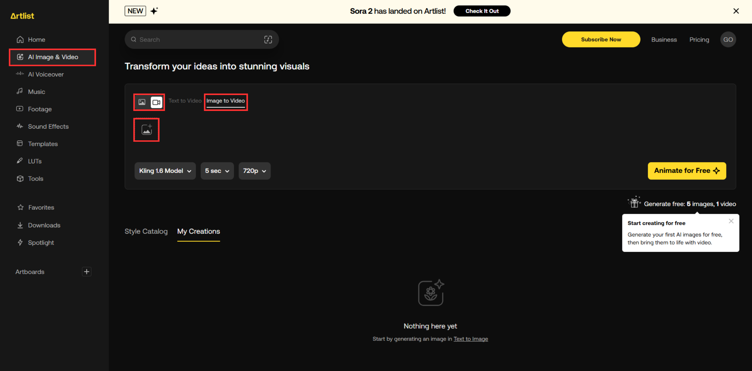 Upload your photo