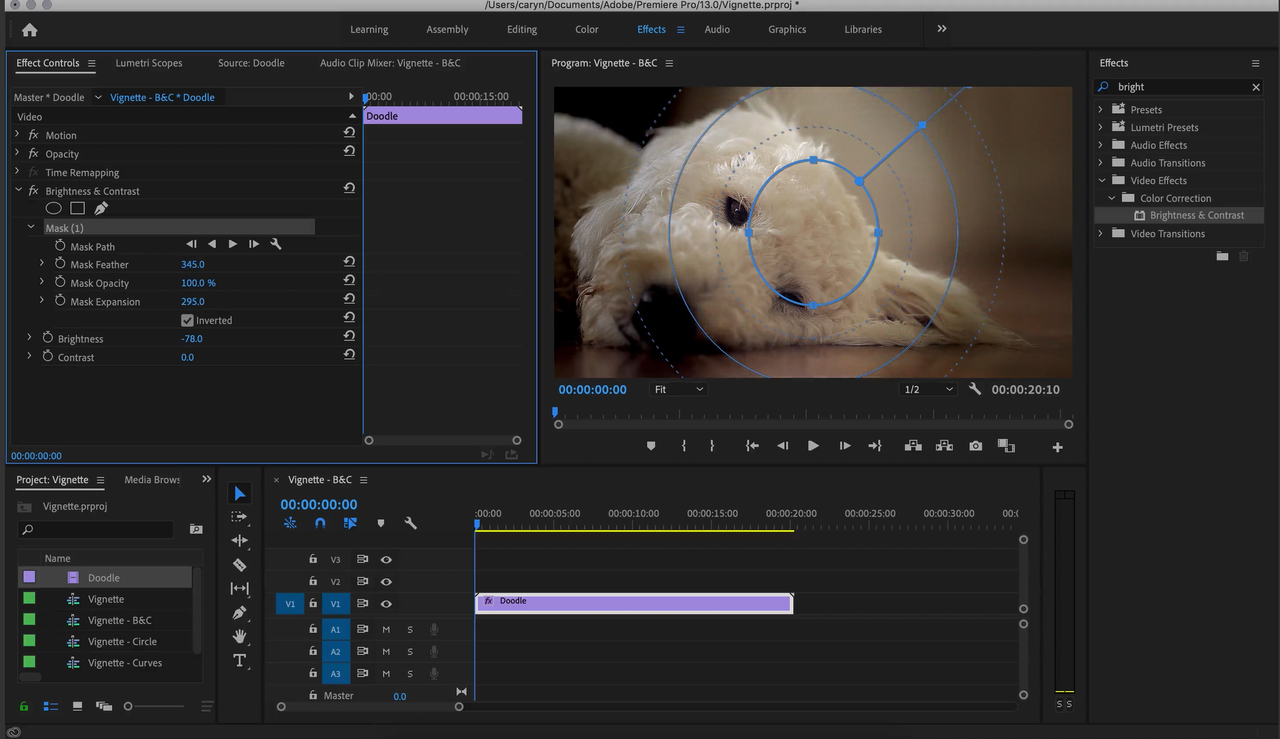 How to Create Vignette in Premiere Pro | Achieve a Fade out Look