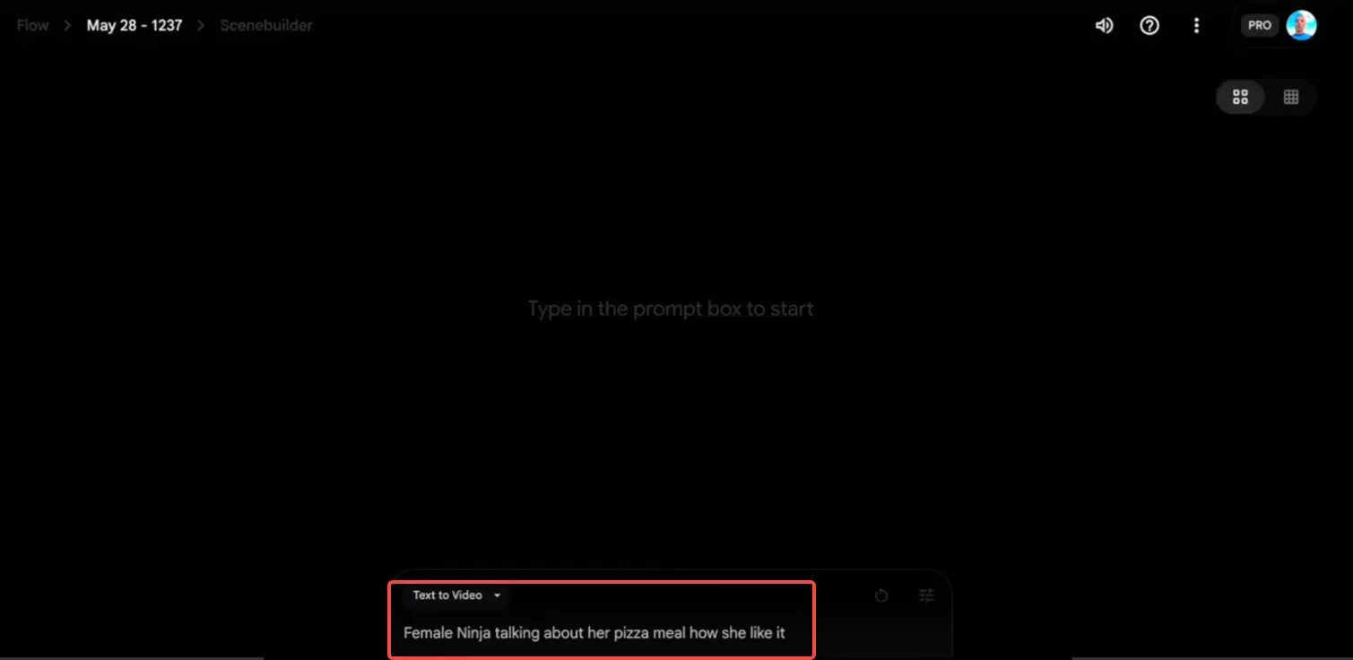 Enter text prompt