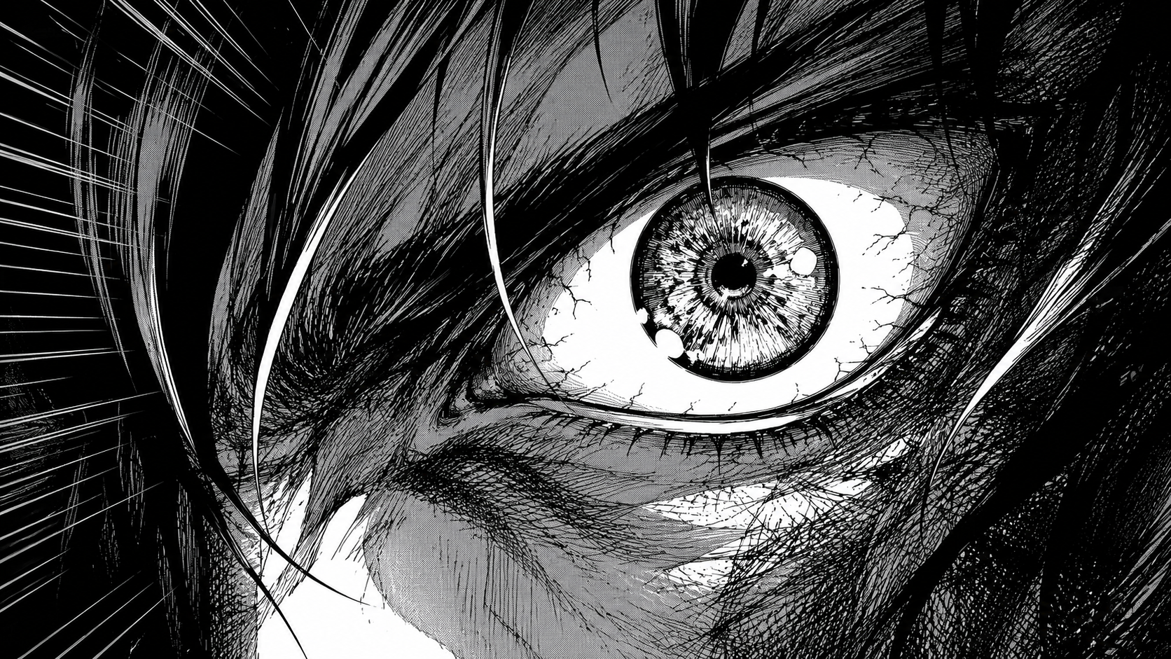 Schwarze und weiße Manga-Paneele