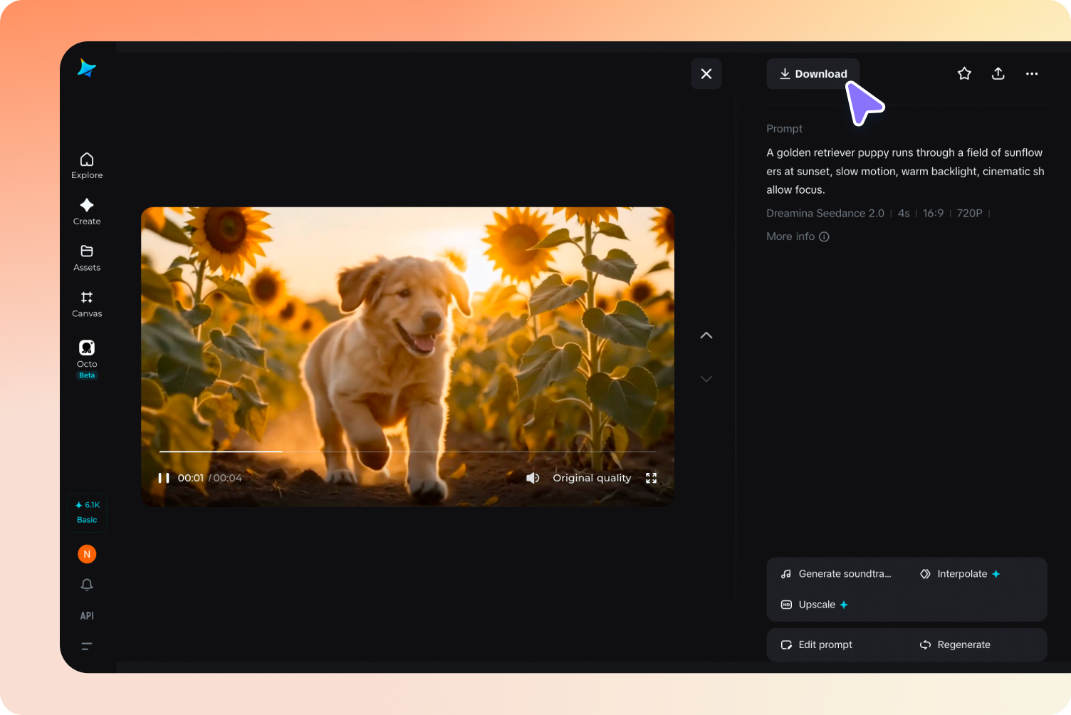 Preview and download your video 