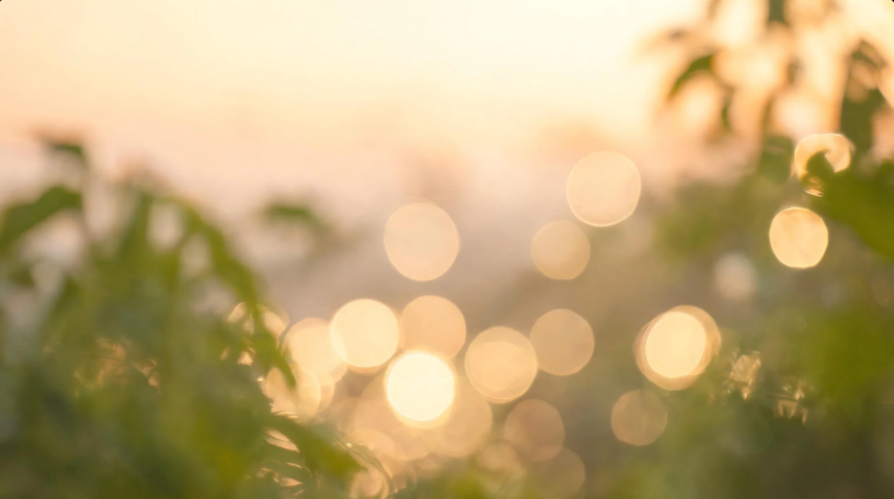 Creamy bokeh image