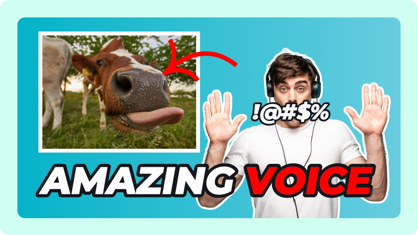 Reaktionsvideos