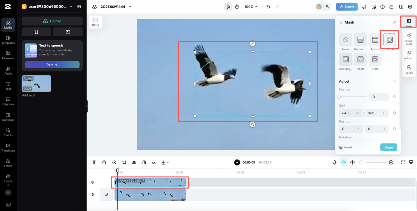 Two birds flying in a video beneath mask controls and an editing timeline in the web editor