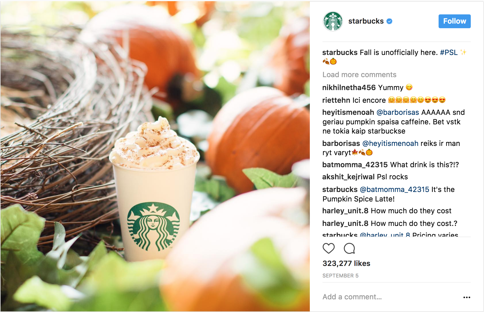 Starbucks - Zucca Spice Latte